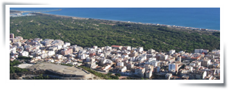 Vista Panoramica Pinada Guardamar del Segura